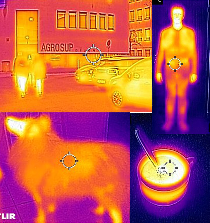 infrared world